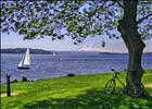 Framing Rainier w Sail Boat